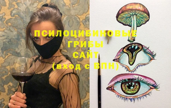дмт Медвежьегорск
